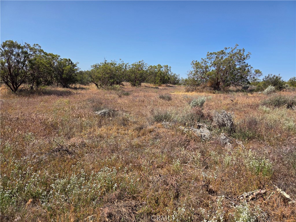 56941 Cain Road Anza, CA 92539 - Photo 5 of 17