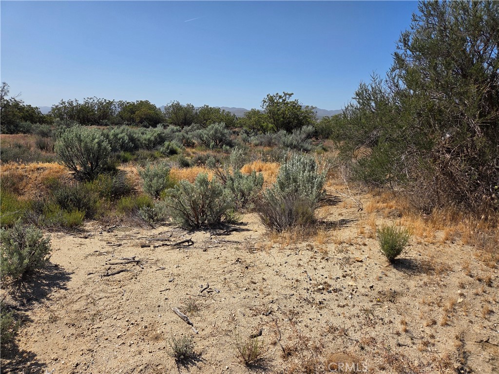 56941 Cain Road Anza, CA 92539 - Photo 6 of 17