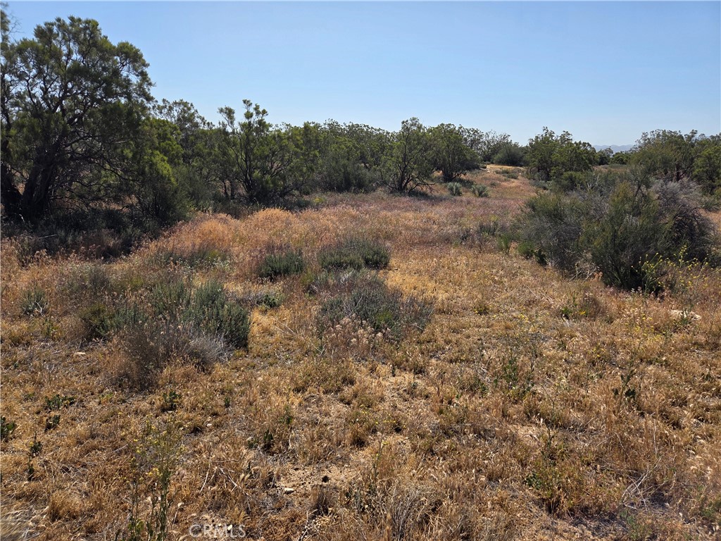 56941 Cain Road Anza, CA 92539 - Photo 7 of 17