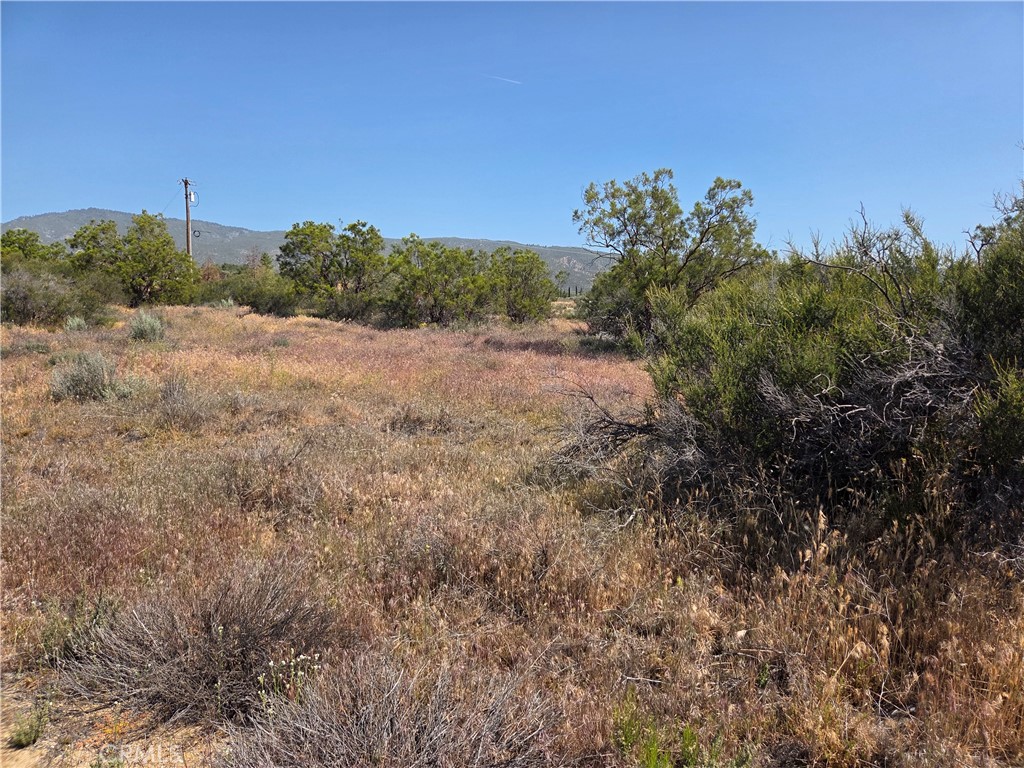 56941 Cain Road Anza, CA 92539 - Photo 8 of 17