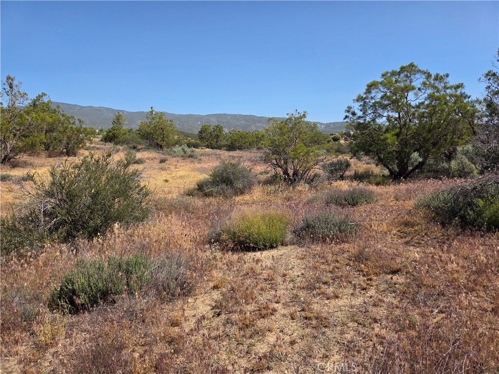 56941 Cain Road Anza, CA 92539 - Photo 9 of 17