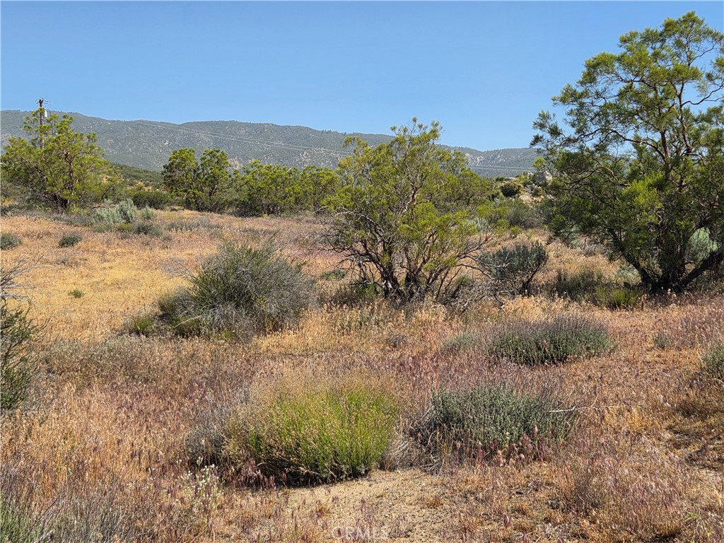 56941 Cain Road Anza, CA 92539 - Photo 10 of 17