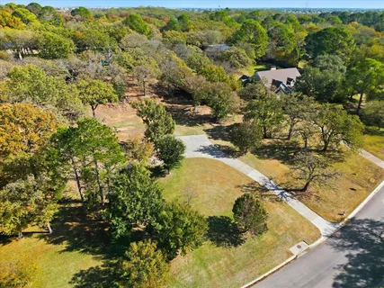 a close up of a plant in a garden