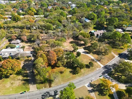 a view of a tree with a yard