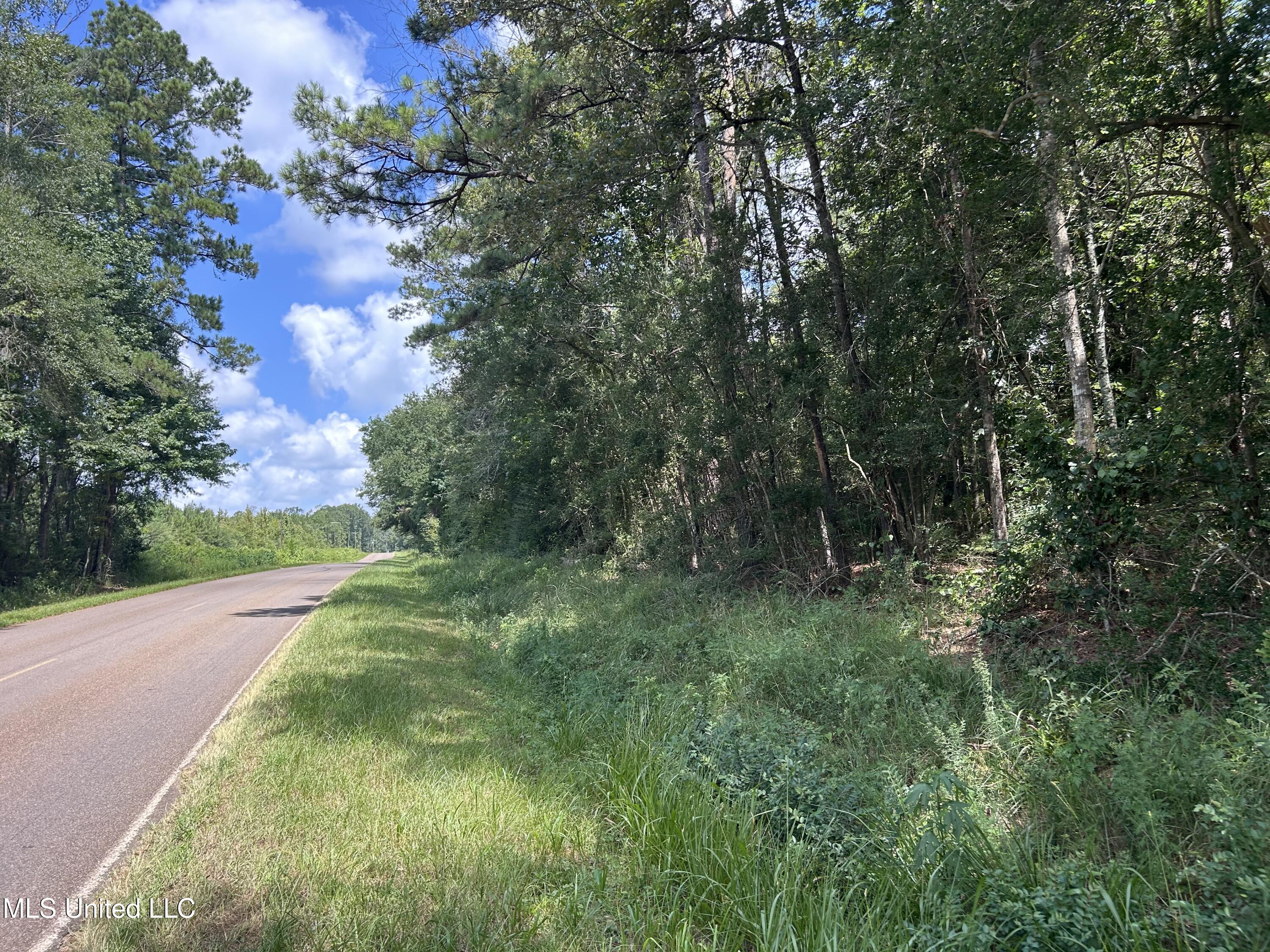Tbd North Tbd N River Road Rd Summit Summit, MS 39666 - Photo 1 of 10 14