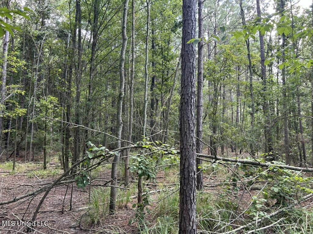 Tbd North Tbd N River Road Rd Summit Summit, MS 39666 - Photo 7 of 10 08109C6C-CC7D-473F-9F39-01BEE4E7DC25_1_1