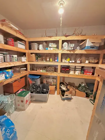 a house that has a tree in front of it