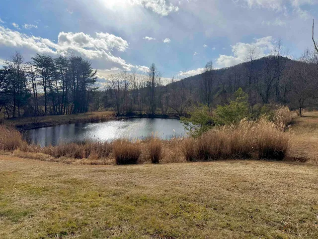a view of a small yard in front of a house with a yard