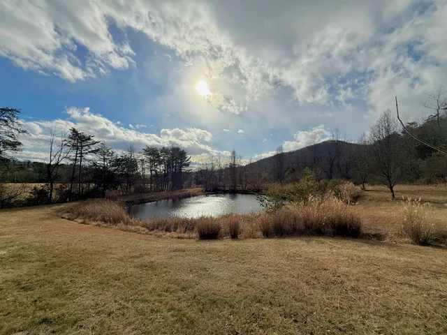 a view of a backyard with large trees and wooden fence