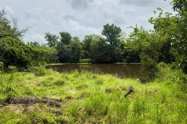 $52,900 | Lot 5 County Road 173, Marlin, TX 76661