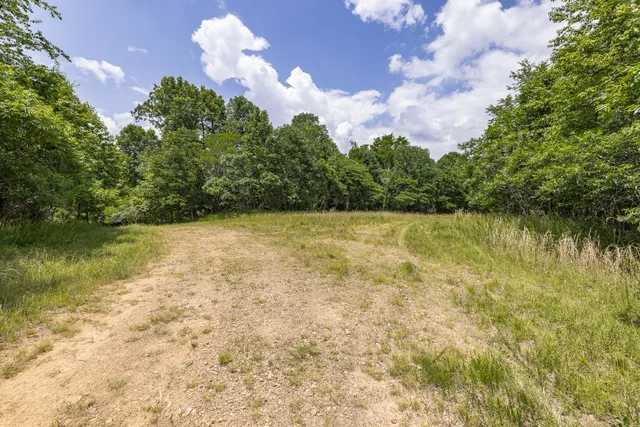 a view of a yard with trees in the background