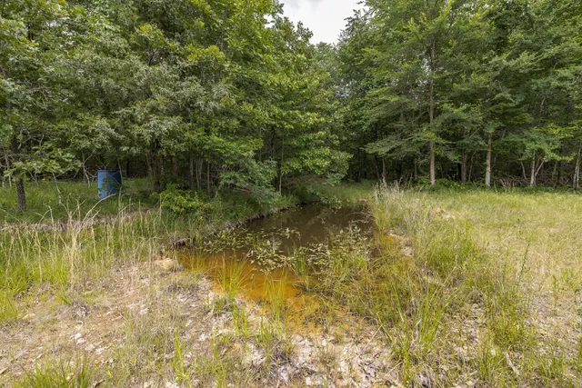 a view of a yard with a tree