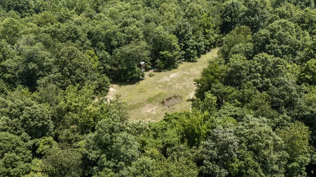 a view of a yard with a tree
