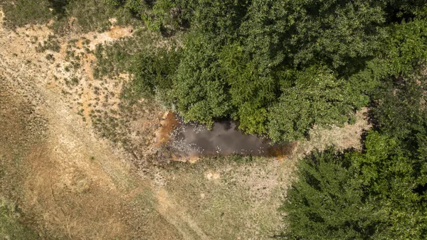 a view of a lake view