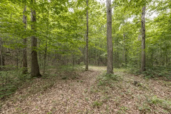 a view of backyard of house with green space