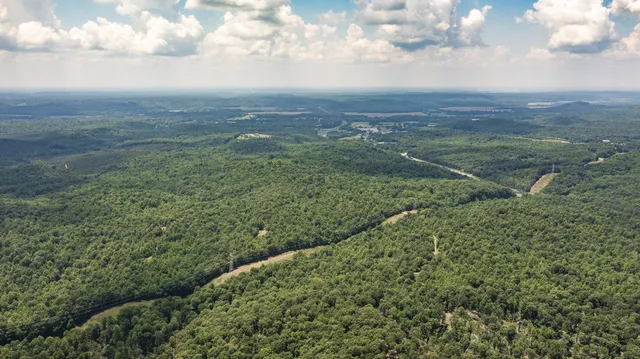 a view of a green field with lots of bushes