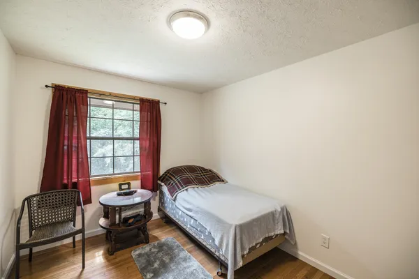 a view of a forest with trees in the background