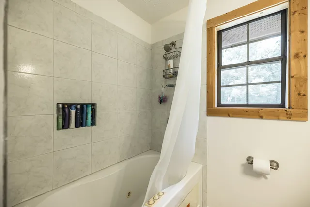 an aerial view of forest