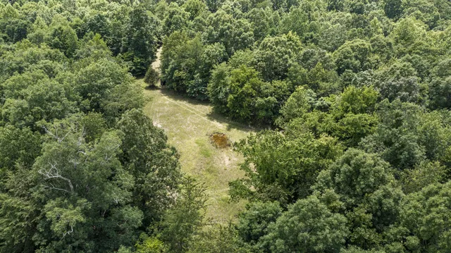 a big yard with lots of green space and deers