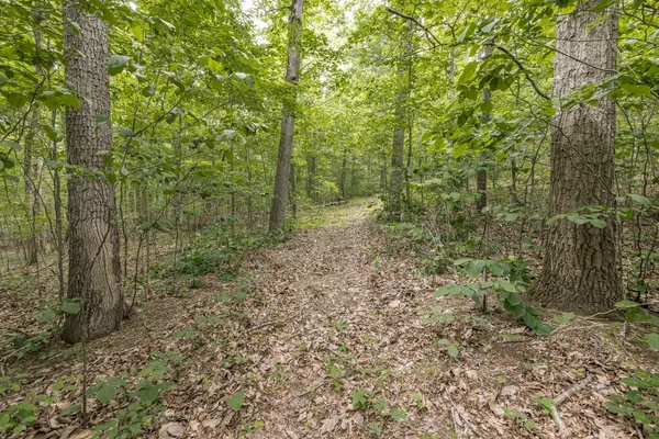 $850,000 | 800 Warren Lane, Hurricane Mills, TN 37078