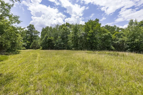 $850,000 | 800 Warren Lane, Hurricane Mills, TN 37078