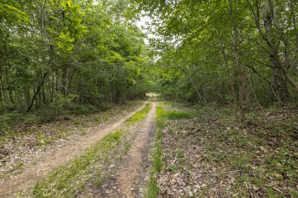 $850,000 | 800 Warren Lane, Hurricane Mills, TN 37078