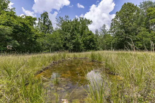 $850,000 | 800 Warren Lane, Hurricane Mills, TN 37078