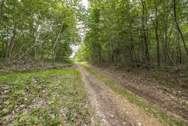 a view of a lake with a big yard and large trees