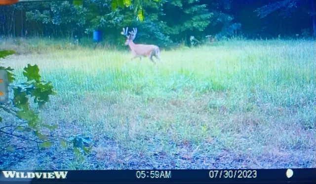 $850,000 | 800 Warren Lane, Hurricane Mills, TN 37078