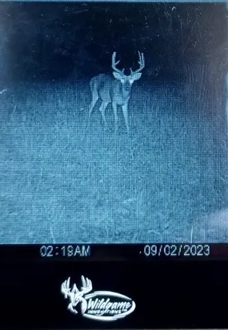 $850,000 | 800 Warren Lane, Hurricane Mills, TN 37078