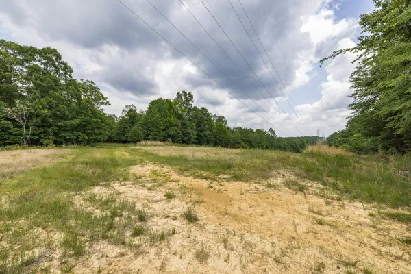 a view of a yard with plants and trees