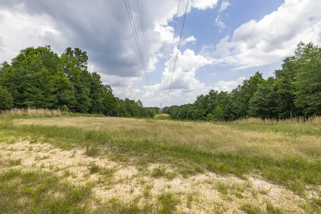 a view of a yard with trees