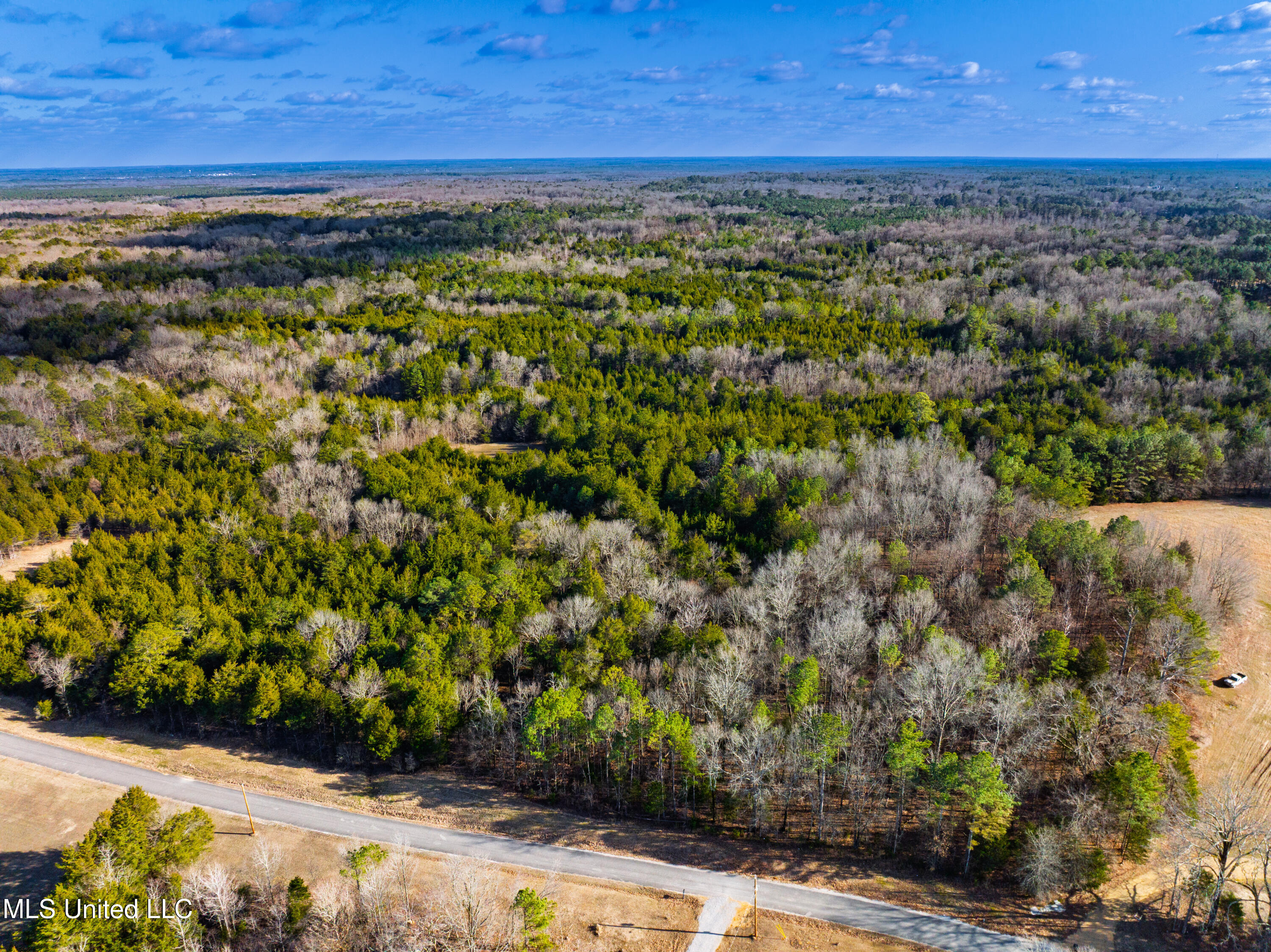 Sawyer Road Nettleton, MS 38858 - Photo 12 of 13 mo-ms-785 photo 12