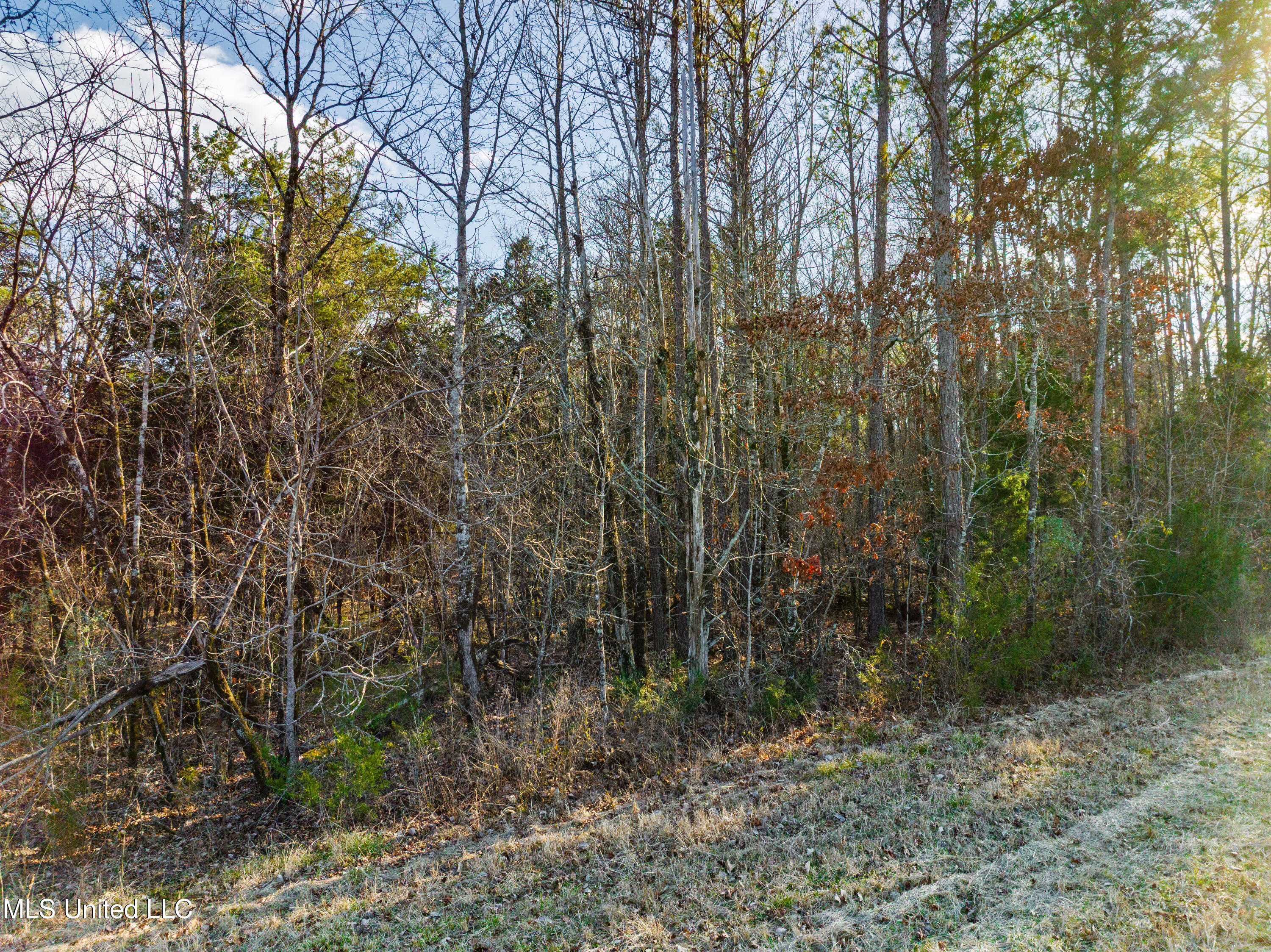 Sawyer Road Nettleton, MS 38858 - Photo 13 of 13 mo-ms-785 photo 13
