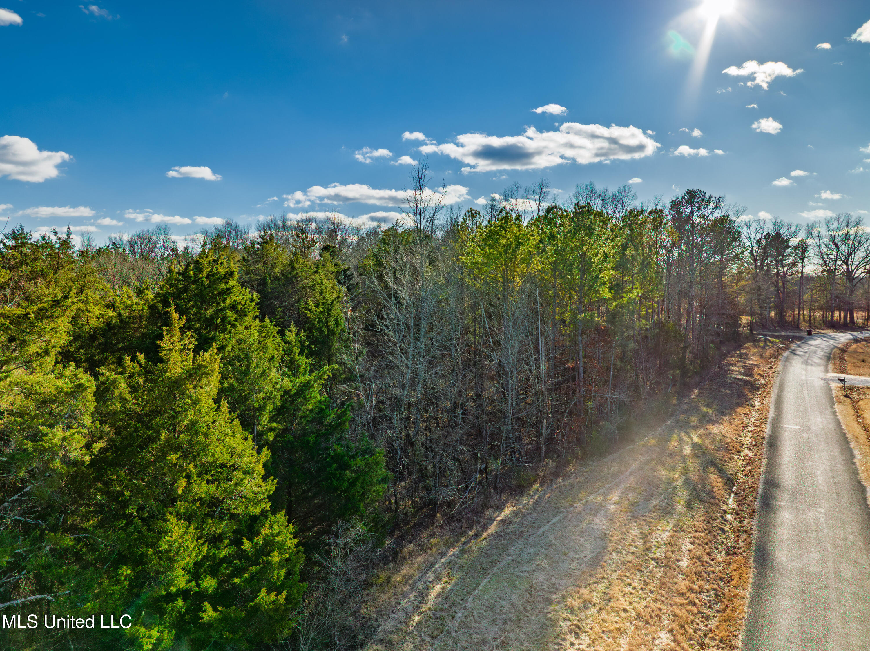 Sawyer Road Nettleton, MS 38858 - Photo 3 of 13 mo-ms-785 photo 3