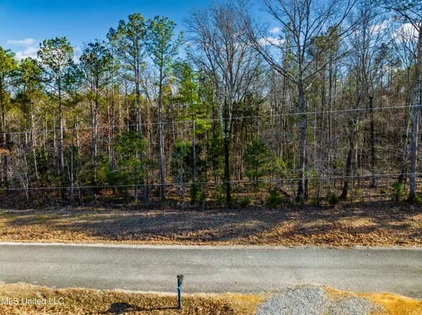 $27,750 | Sawyer Road, Nettleton, MS 38858