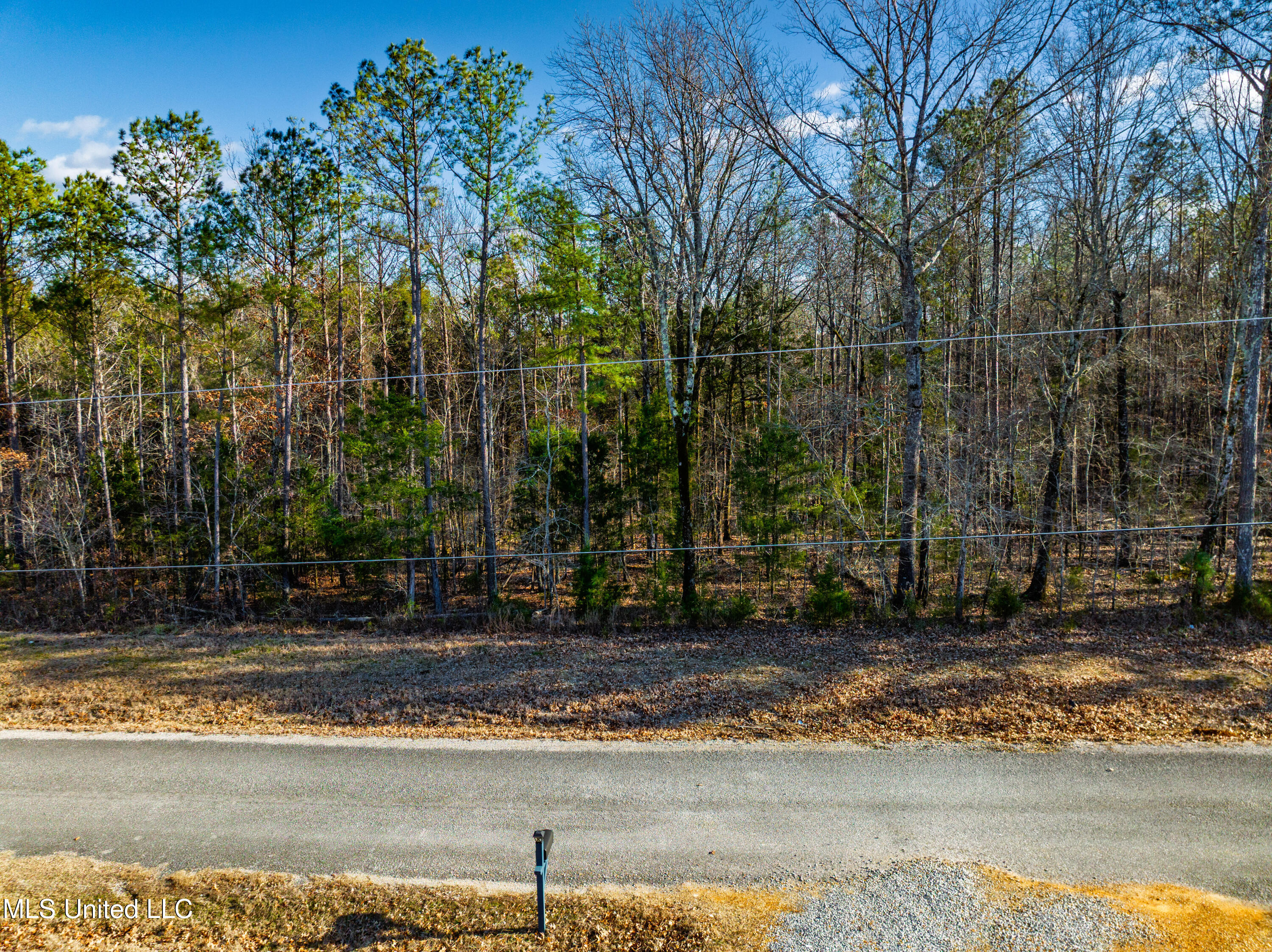 Sawyer Road Nettleton, MS 38858 - Photo 6 of 13 mo-ms-785 photo 6