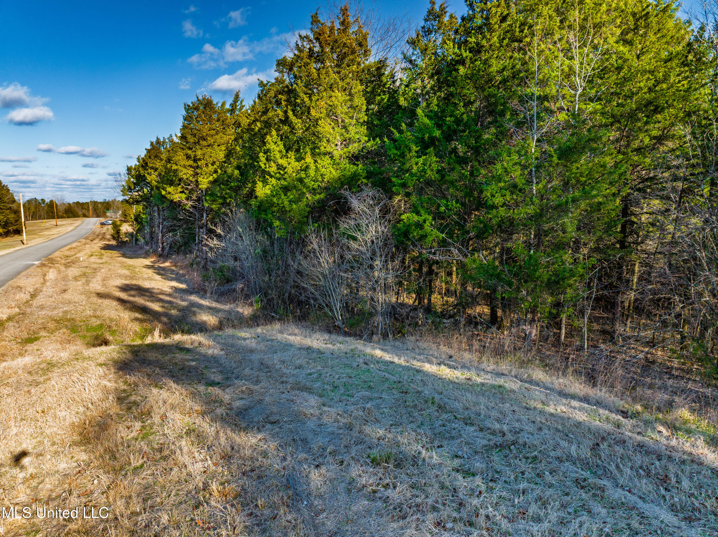 Sawyer Road Nettleton, MS 38858 - Photo 9 of 13 mo-ms-785 photo 9