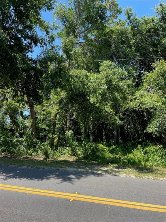 6897 Indiana Avenue New Port Richey, FL 34653 - Photo 1 of 1 Gallery Image 1