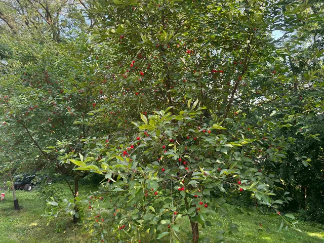 $430,000 | 3029 Ruger Avenue, Janesville, WI 53546