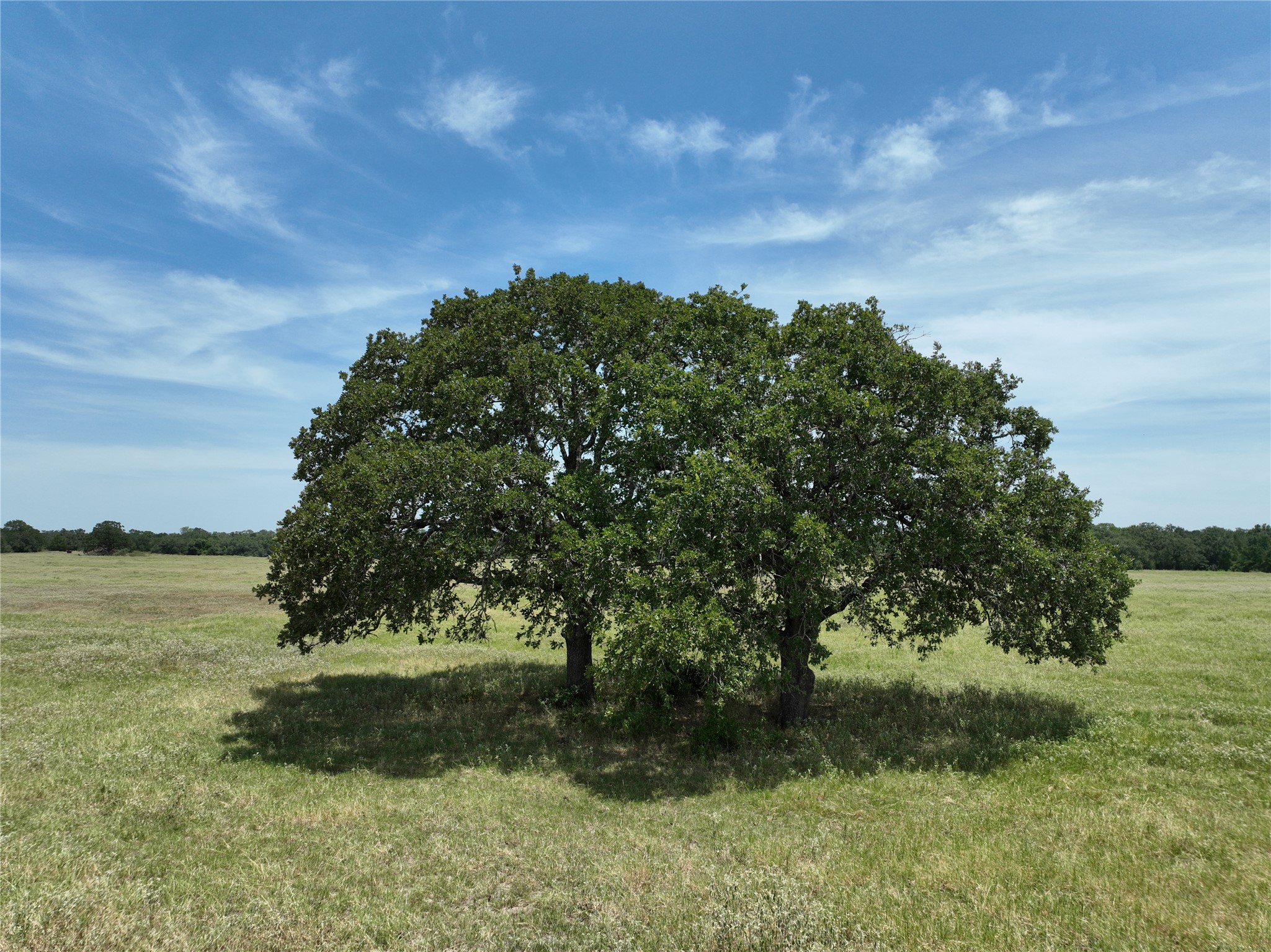 Lot 1-tbd Rd Ledbetter Tx 78946 Road Ledbetter, TX 78946 - Photo 10 of 10 View of nature with rural landscape