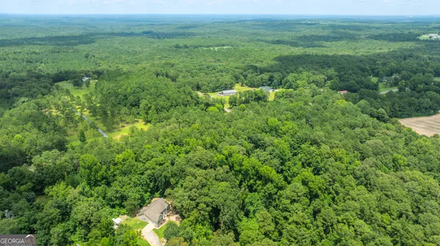 $47,900 | 0 State Route 42, Fort Valley, GA 31030