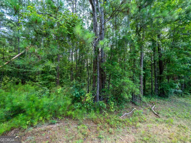 $47,900 | 0 State Route 42, Fort Valley, GA 31030