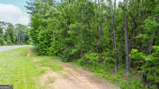$47,900 | 0 State Route 42, Fort Valley, GA 31030