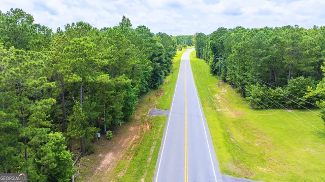 $47,900 | 0 State Route 42, Fort Valley, GA 31030
