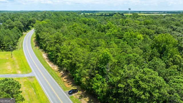 $47,900 | 0 State Route 42, Fort Valley, GA 31030