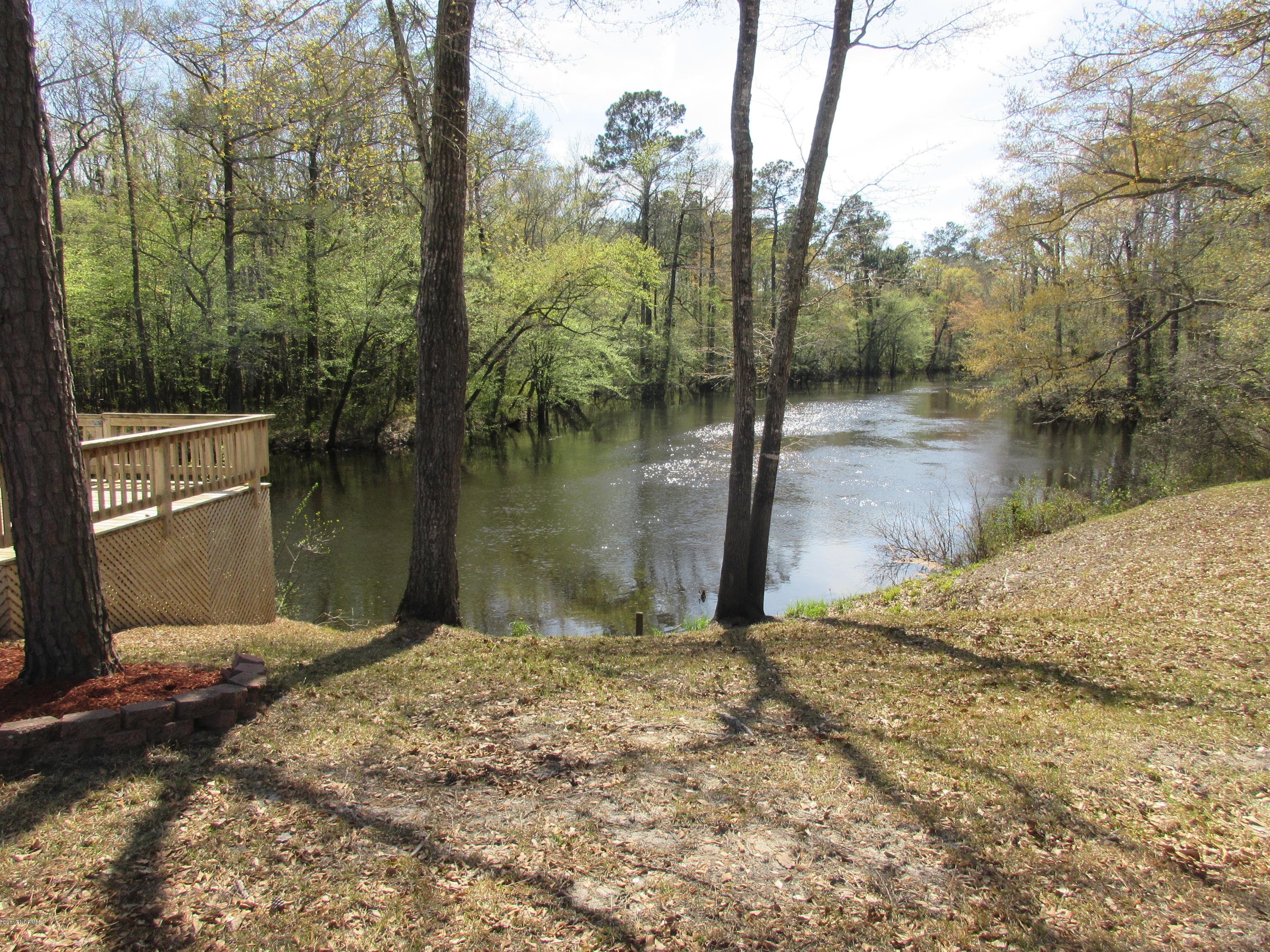 207 Raccoon Run Washington, NC 27889 - Photo 34 of 43 Tranters Creek