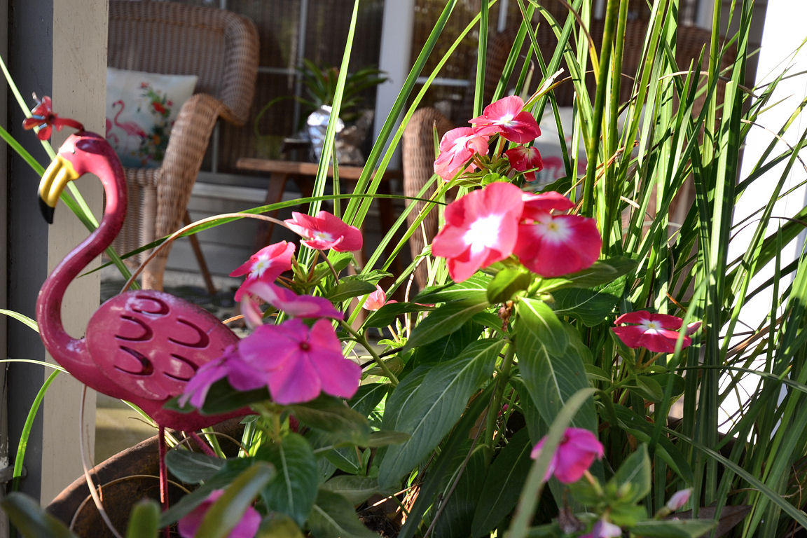 147 Garden Street Santa Rosa Beach, FL 32459 - Photo 23 of 33 Gallery Image 23