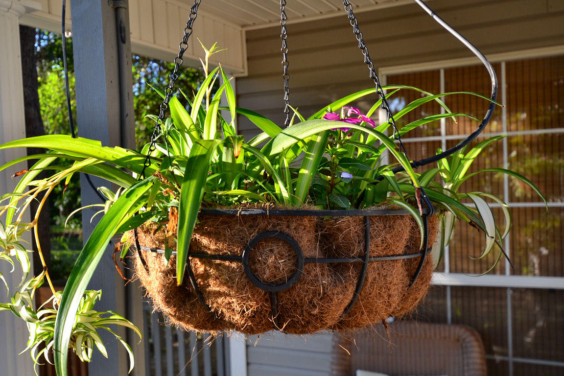 147 Garden Street Santa Rosa Beach, FL 32459 - Photo 24 of 33 Gallery Image 24
