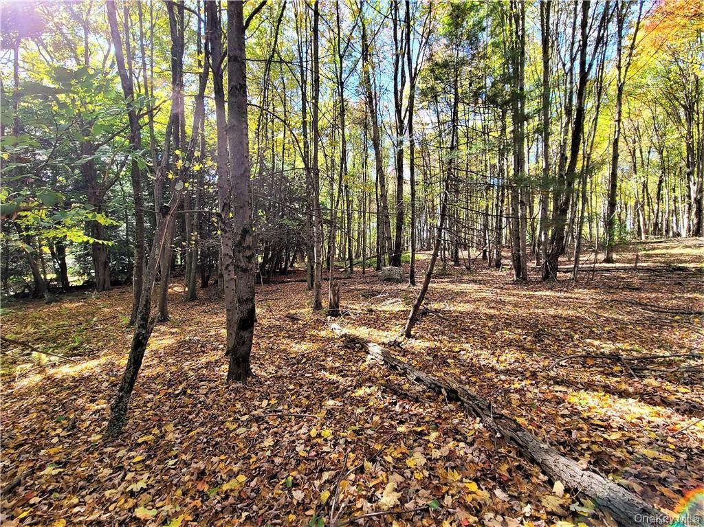 Lot 5.4 Kaufman Road Monticello, NY 12701 - Photo 40 of 45